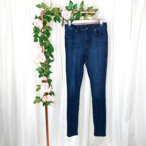 3/$30 Level 99 Tanya High Rise Skinny Jean